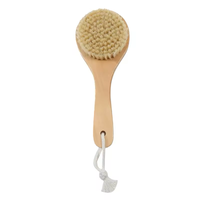 Brosse à sec GRATUITE