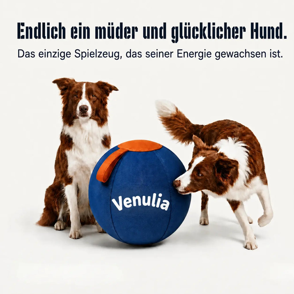 DER BALL, DER UNERMÜDLICHE HUNDE ENDLICH MÜDE MACHT