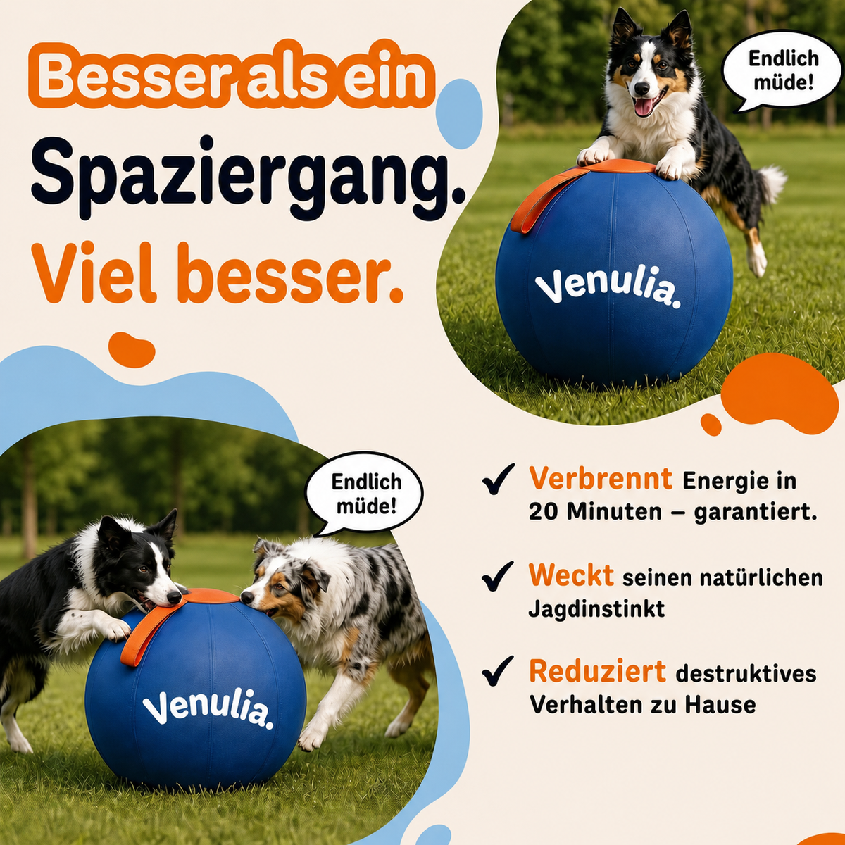 DER BALL, DER UNERMÜDLICHE HUNDE ENDLICH MÜDE MACHT